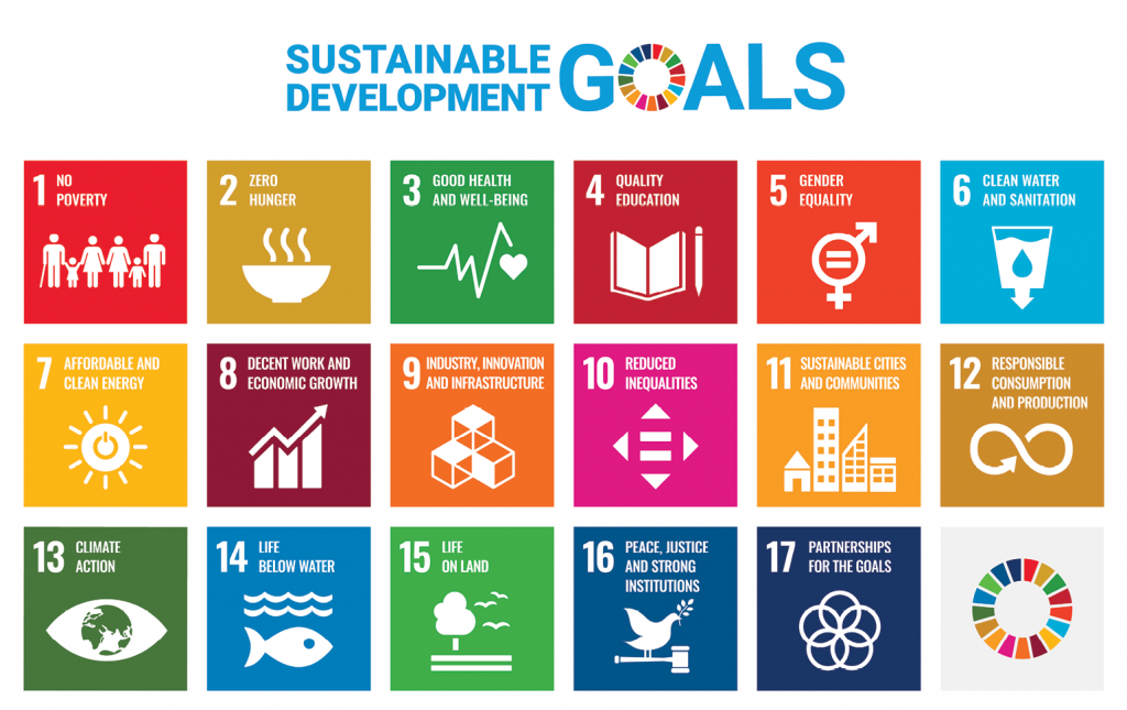 Participate Learning and the UN Sustainable Development Goals